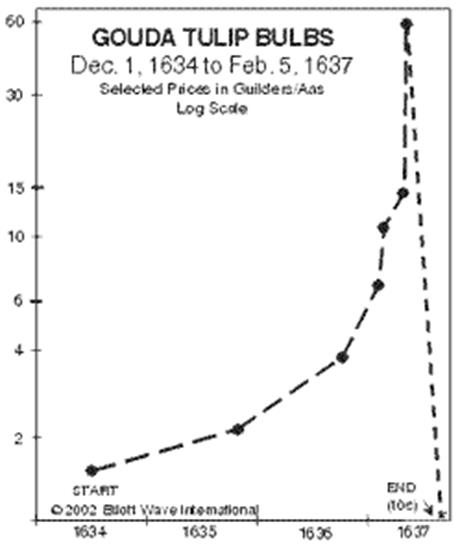 http://www.thebubblebubble.com/wp-content/uploads/2012/05/Tulipomania.gif