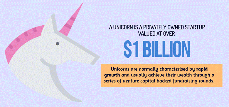 Image result for unicorn valuation quote