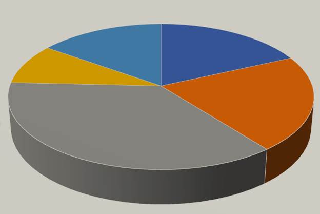 Chart, pie chart

Description automatically generated