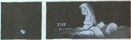 Sunday comic strip