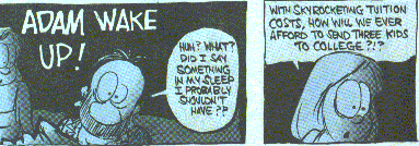 Sunday comic strip